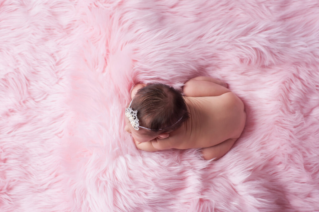 Baby Girl Newborn Session