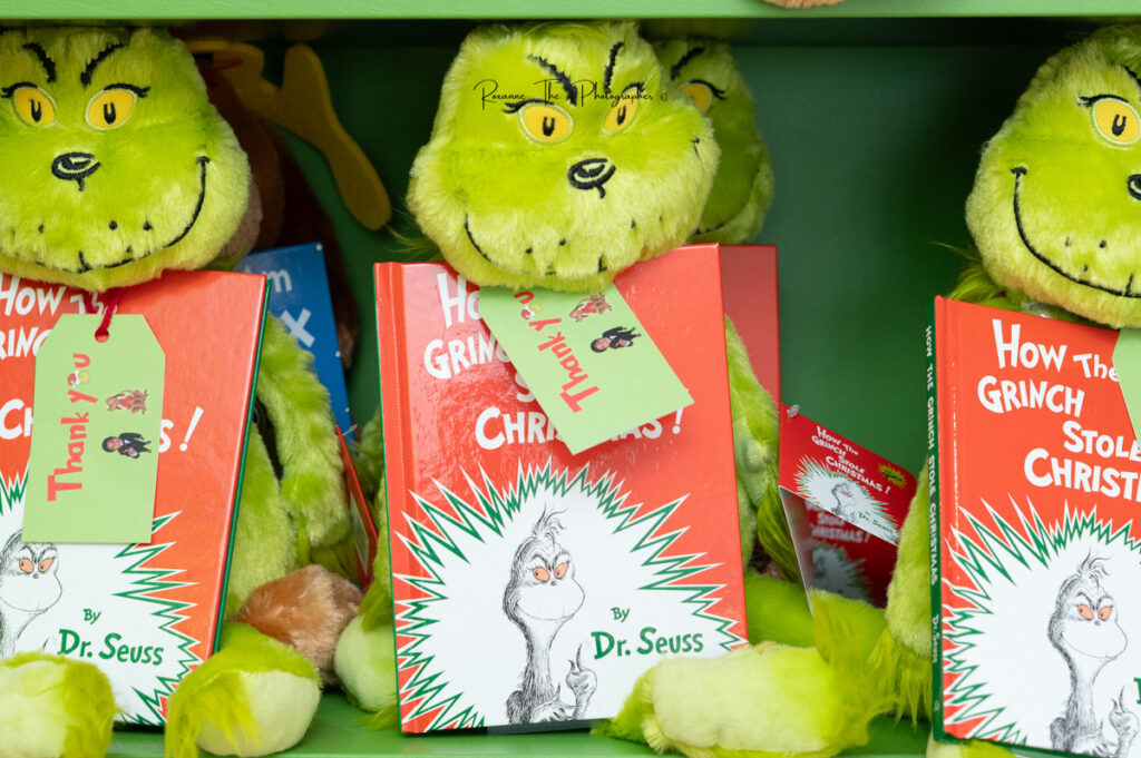 Grinch inspired party !